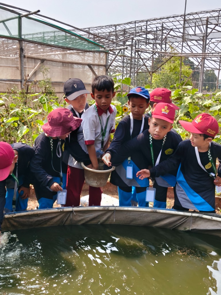 Edukasi Budidaya Ikan & Kolam Biofloc
