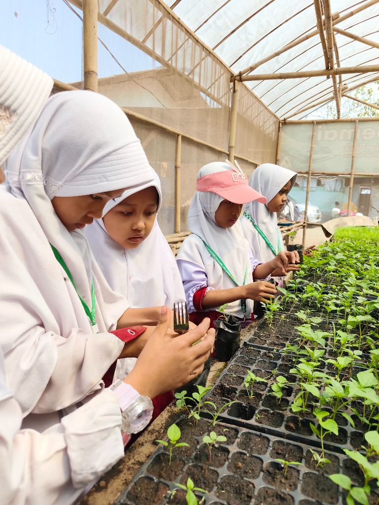 Greenhouse & Observasi Bibit Hortikultura